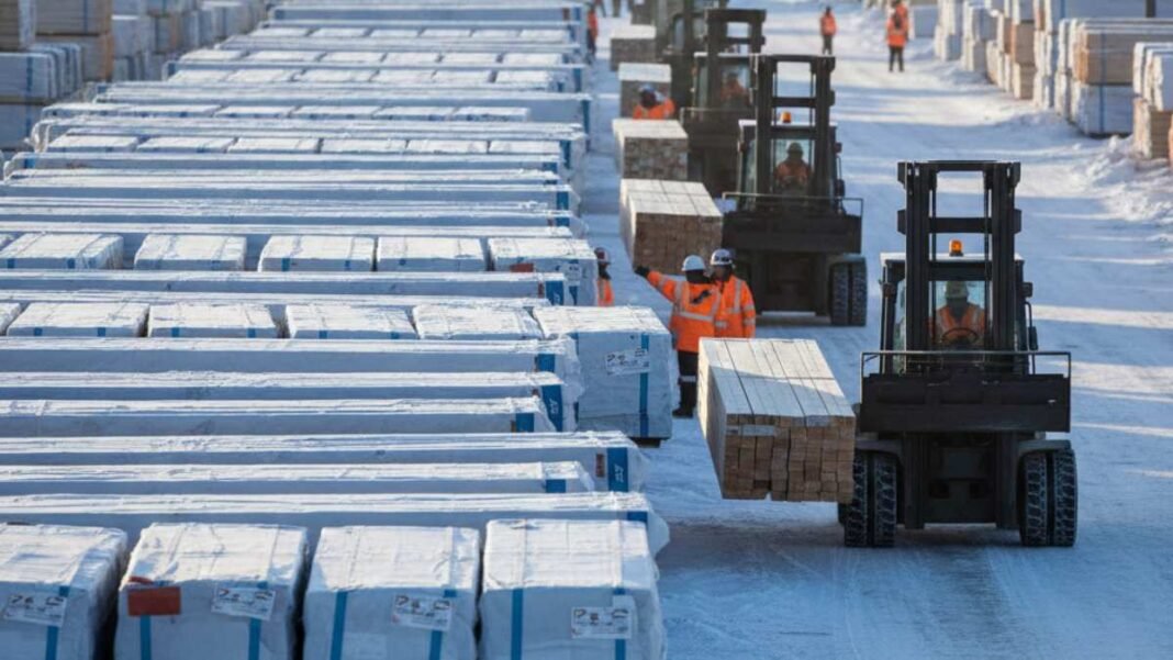 Lumber futures rebound as seasonal demand and supply constraints support prices