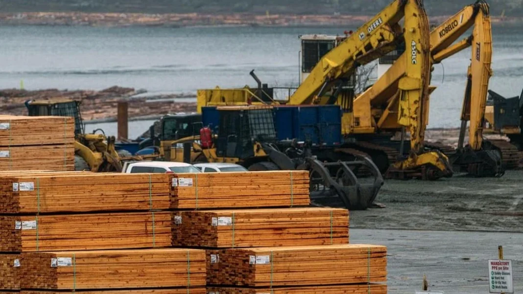 European Softwood Lumber Exports to US Plummet: A Deep Dive into Market Contraction and Strategic Realignments - Global Timber Industry Analysis